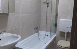 Studio cu terasa superba, zona Turnișor