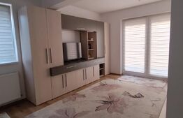 Studio cu terasa superba, zona Turnișor