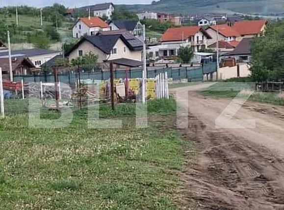 Teren de vânzare Sura Mare - 158858TV | BLITZ Sibiu | Poza1