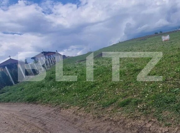 Teren de vânzare Sura Mare - 158858TV | BLITZ Sibiu | Poza2
