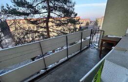 Apartament 2 camere, semidecomandat, zona Dioda