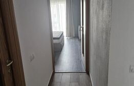 Apartament 2 camere, 50mp, zona Triajului