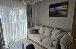 Apartament 2 camere, 50mp, zona Triajului