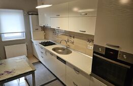 Apartament 2 camere, 50mp, zona Triajului