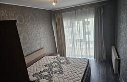 Apartament 2 camere, 50mp, zona Triajului