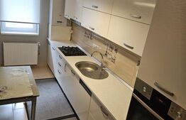 Apartament 2 camere, 50mp, zona Triajului