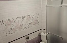 Apartament 2 camere, 50mp, zona Triajului