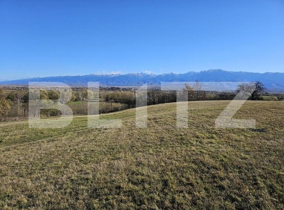 Teren de vânzare Bradu - 159259TV | BLITZ Sibiu | Poza1