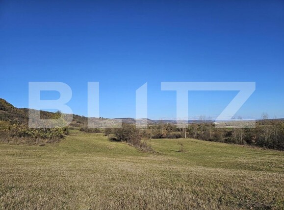 Teren de vânzare Bradu - 159259TV | BLITZ Sibiu | Poza3
