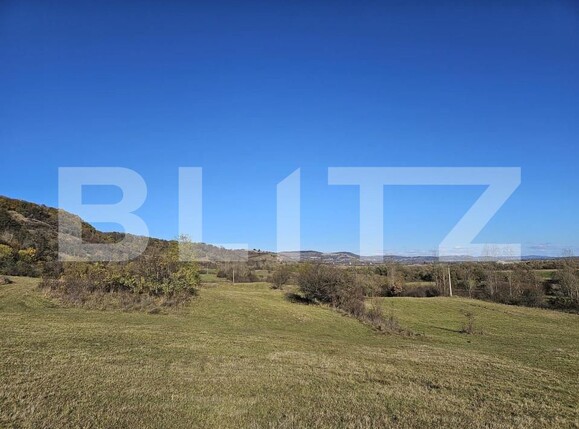 Teren de vânzare Bradu - 159259TV | BLITZ Sibiu | Poza2