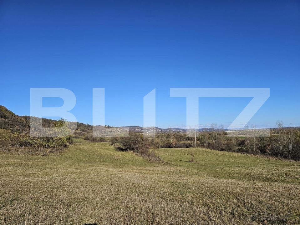 Teren de vânzare Bradu - 159259TV | BLITZ Sibiu | Poza3