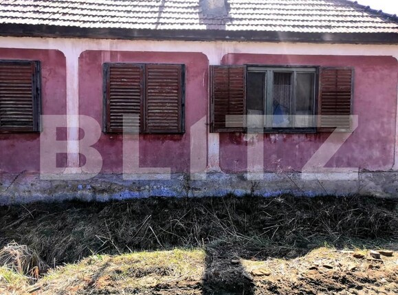 Casa de vânzare 2 camere Alma Vii - 159268CV | BLITZ Sibiu | Poza3