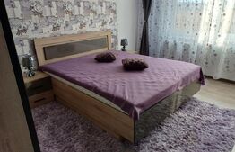 Apartament 2 camere, zona Doamna Stanca