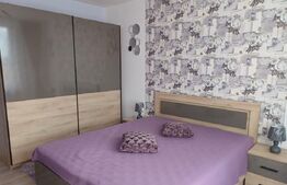 Apartament 2 camere, zona Doamna Stanca