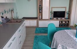 Apartament 2 camere, zona Doamna Stanca