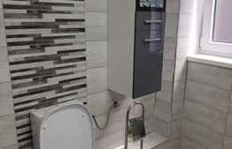 Apartament 2 camere, zona Doamna Stanca