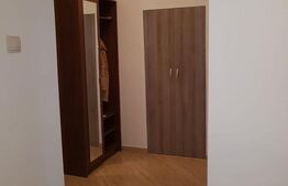Apartament 2 camere - Turnisor