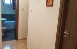 Apartament 2 camere - Turnisor