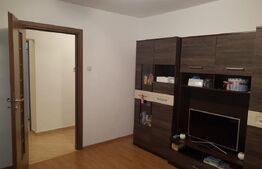 Apartament 2 camere - Turnisor