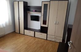 Apartament 2 camere - Turnisor