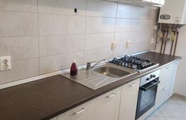 Apartament, 49mp, zona Doamna Stanca