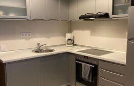 Apartament 2 camere,etaj 2, balcon, zona Doamna Stanca