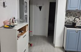 Apartament 2 camere, Vasile  Aaron