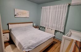 Apartament 2 camere, Vasile  Aaron