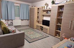 Apartament 2 camere, Vasile  Aaron