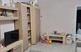 Apartament 2 camere, Vasile  Aaron