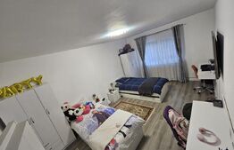 Apartament 2 camere decomandat Vasile Aron