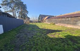 Casa cu doua corpuri de cladire