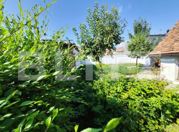 Casa de vânzare 4 camere Central - 162552CV | BLITZ Sibiu | Poza4