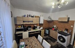 Casa cu 2 camere, 92 mp, central