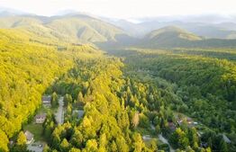 Cabana de vanzare Super Oportunitate în Zona Turistică Porumbacu de Sus