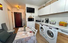 Garsoniera de vanzare, 24 mp, investitie, zona Lazaret