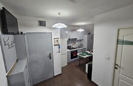 Apartament 2 camere, 47 mp, semidecomandat, zona Terezian