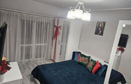 Apartament 2 camere, 47 mp, semidecomandat, zona Terezian