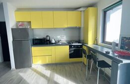 Apartament cu 2 camere, 45 mp, zona Doamna Stanca