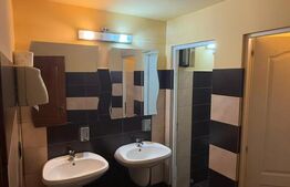 Spațiu Comercial, 46 mp, zona Turnisor 