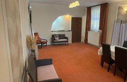 Spațiu Comercial, 46 mp, zona Turnisor 