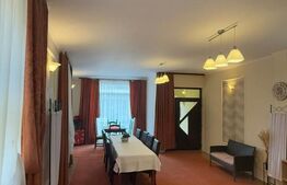 Spațiu Comercial, 46 mp, zona Turnisor 