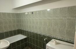 Închiriere apartament, cu o cameră, 58 mp, etaj 2, zona Terezian