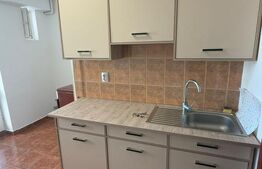 Închiriere apartament, cu o cameră, 58 mp, etaj 2, zona Terezian
