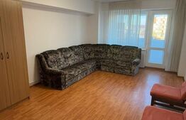 Închiriere apartament, cu o cameră, 58 mp, etaj 2, zona Terezian