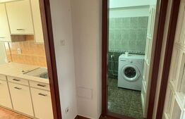 Închiriere apartament, cu o cameră, 58 mp, etaj 2, zona Terezian