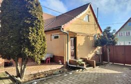 Casa cu 2 apartamente, 5 camere, 140 mp, zona Turnisor