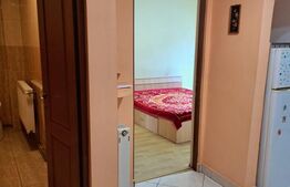 Apartament decomandat, 2 camere, 52 mp, zona Milea