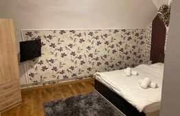 Apartament de vanzare, cu 2 camere, 47 mp, zona centrala