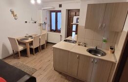 Apartament la casă, 3 camere, 50 mp, ultracentral